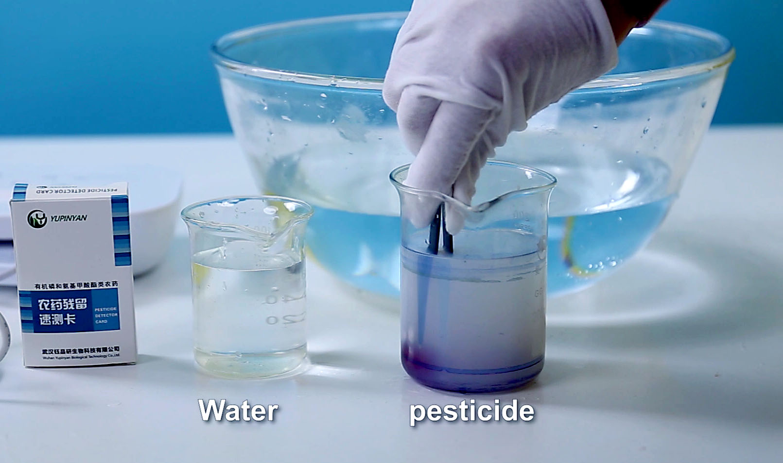 Experimental Video on Pesticide Residue Removal Test of Fruit and Vegetable Cleaner